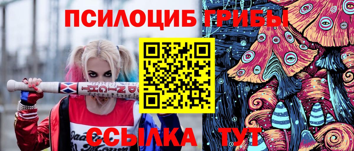 Галлюциногенные грибы прущие грибы Алексеевка