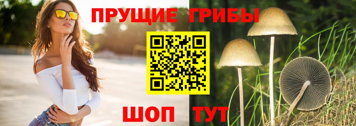 Алексеевка  Псилоцибиновые грибы GOLDEN TEACHER  Вход с VPN 