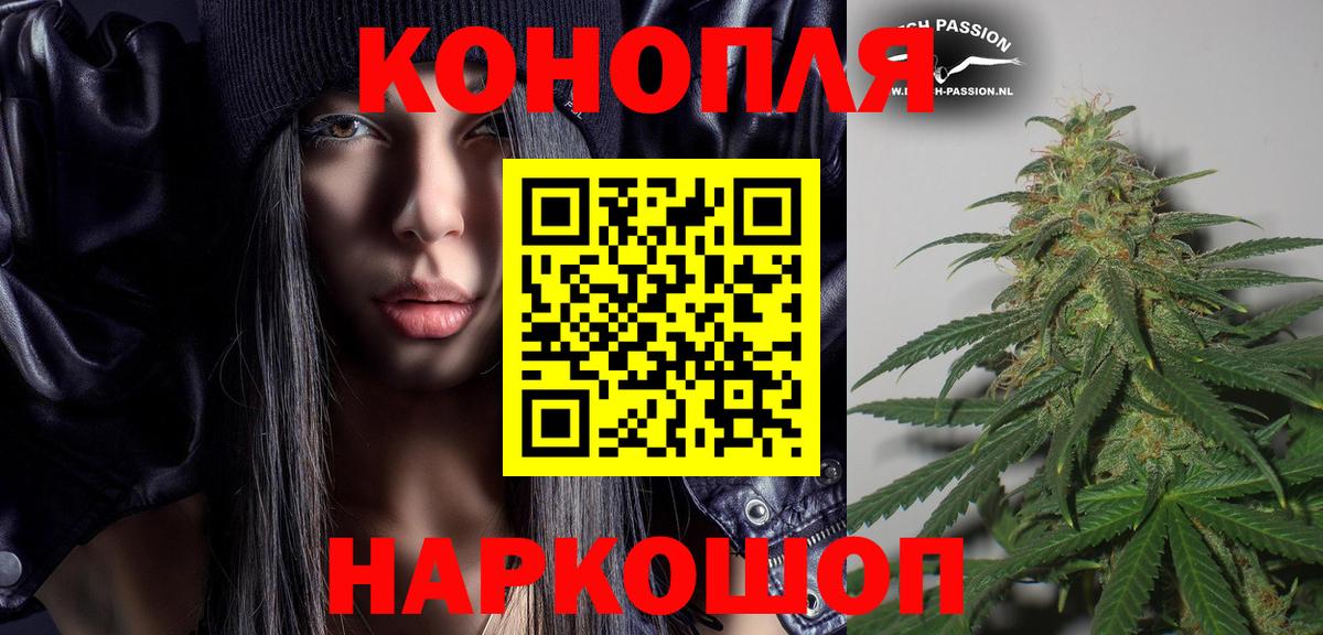 Канабис план Алексеевка